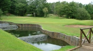 Aberdelghy Golf Club Picture