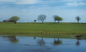 Foyle Golf Club Picture